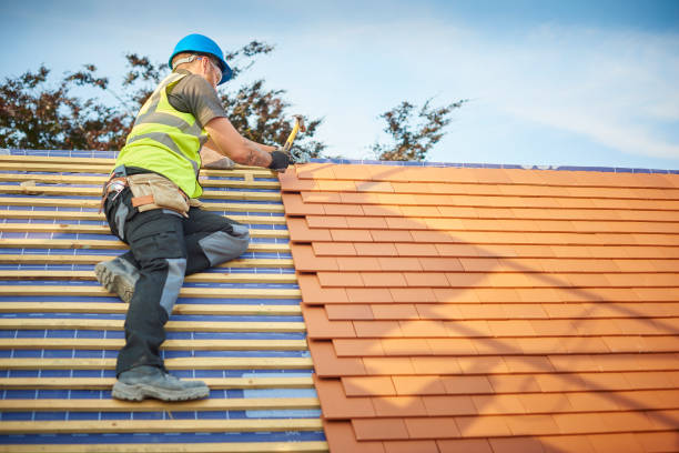 Best Roof Maintenance and Cleaning  in Northridge, OH